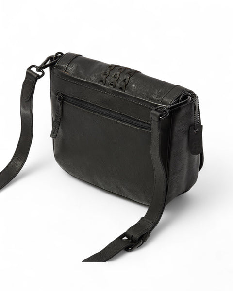 dr Amsterdam - Tampa