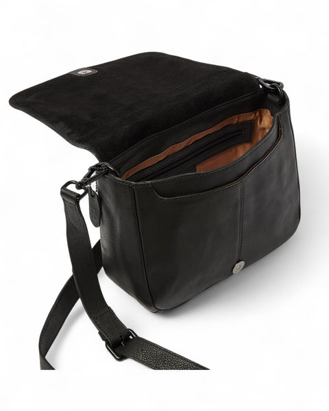 dr Amsterdam - Tampa